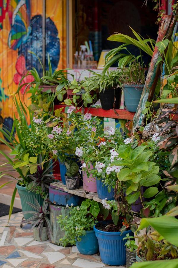 Hostal Liliana Buenaventura Exteriér fotografie